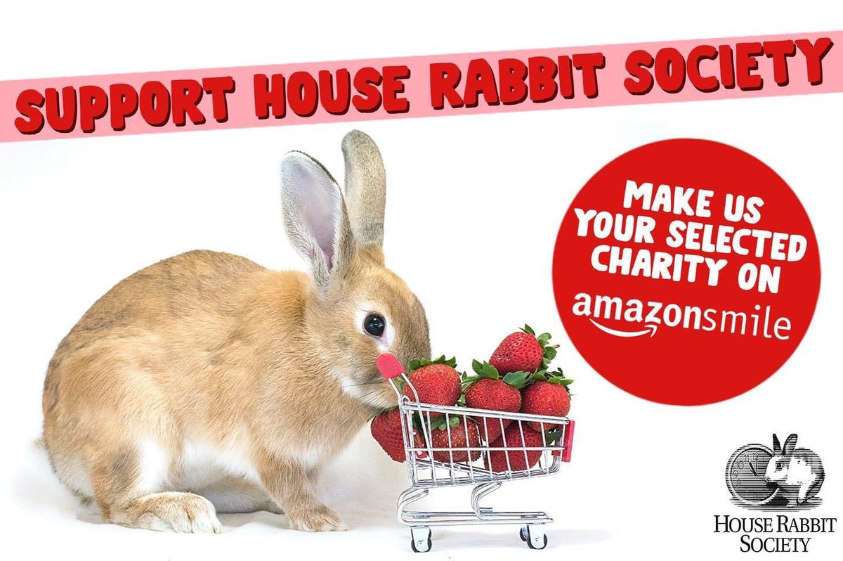 HouseRabbit's tweet photo. Amazon Prime Day runs today and tomorrow, July 12-13. It's Amazon's biggest sale of the year! 🌟

Before you shop, support House Rabbit Society or your local HRS chapter by selecting us as your charity on Amazon Smile. Get started at https://t.co/bBf2SeOoEz ❤️🐇 https://t.co/elugRW6BRs