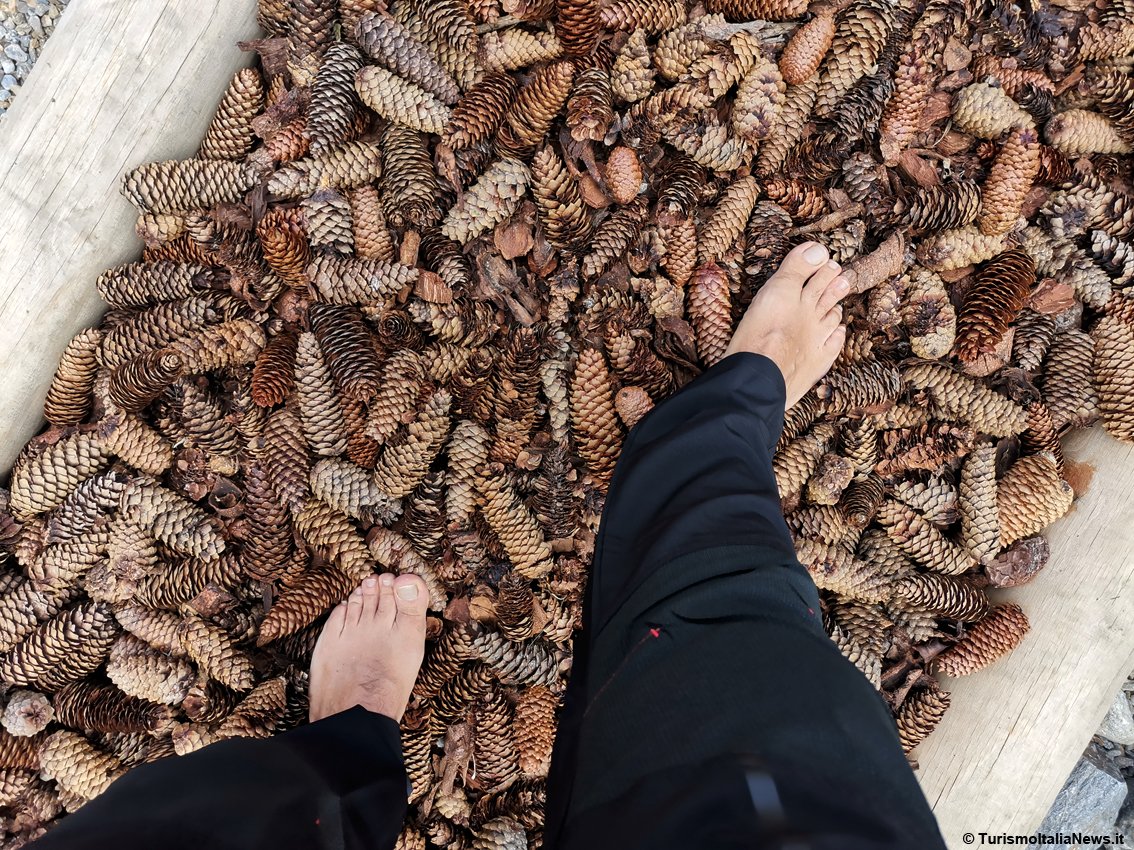 TurismoItaliaNw's tweet photo. Piedi scalzi e acquolina in bocca: estate di trekking e buona cucina nelle Perle del Trentino Alpe Cimbra, Primiero San Martino di Castrozza e Moena
Leggi la notizia https://t.co/oY5qSj0HQb
#barefoot #trentino #Primiero #turismo #estate2022 @AlpinePearls #alpinepearls @giovasse https://t.co/UWK1aAeLRZ