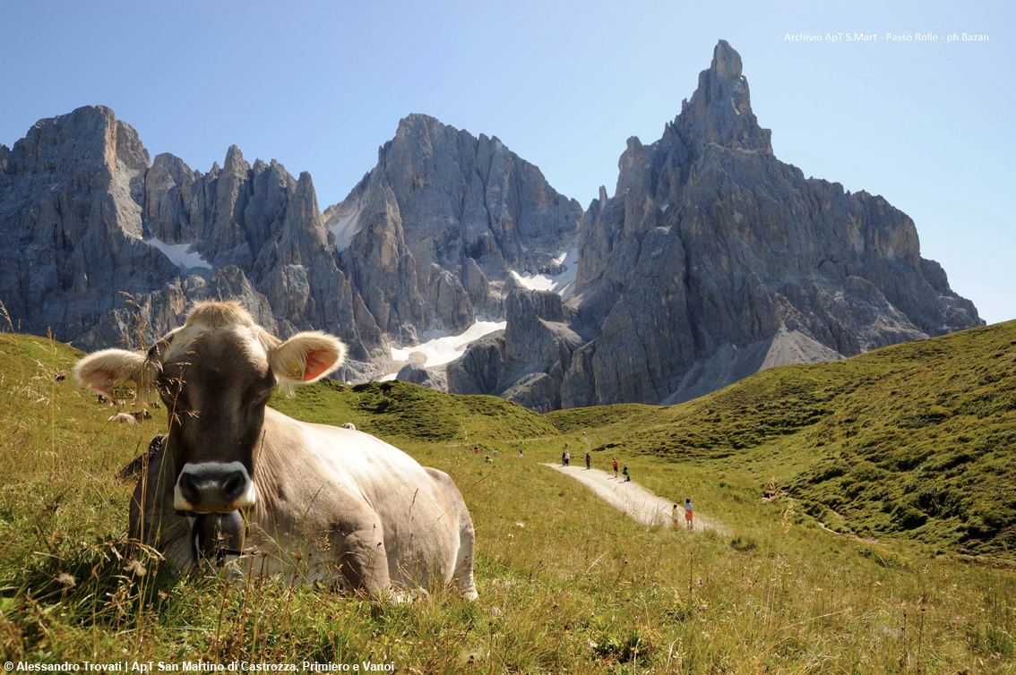 TurismoItaliaNw's tweet photo. Piedi scalzi e acquolina in bocca: estate di trekking e buona cucina nelle Perle del Trentino Alpe Cimbra, Primiero San Martino di Castrozza e Moena
Leggi la notizia https://t.co/oY5qSj0HQb
#barefoot #trentino #Primiero #turismo #estate2022 @AlpinePearls #alpinepearls @giovasse https://t.co/UWK1aAeLRZ