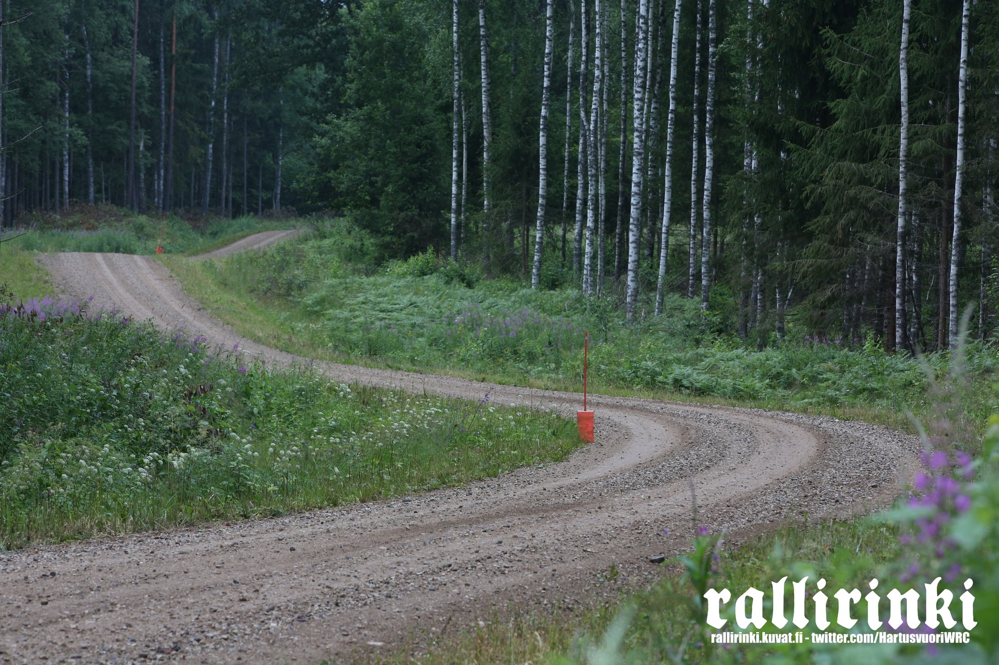 WRC: Rally Estonia [14-17 Julio] FXe2cTRWYAAXkvg?format=jpg&name=large