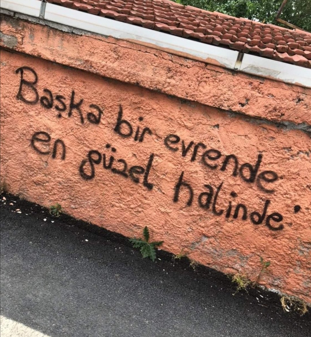 pircihanbaba's tweet photo. https://t.co/qpSeGvahug