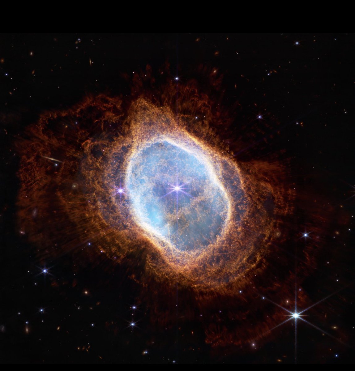 Ted Fujimoto 💡 tweet media