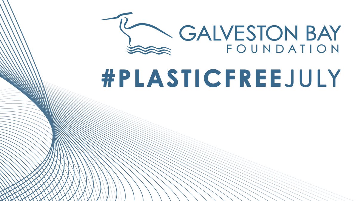 Galveston Bay Foundation tweet media