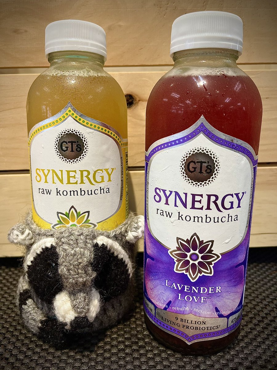 kombucha - Twitter Search / Twitter