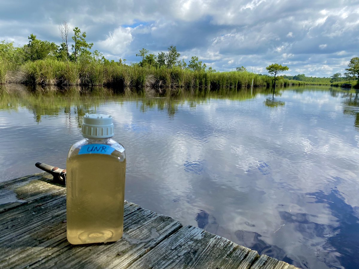 Chelsea_B_UNC's tweet photo. After a weekend of heavy rain in #EasternNC, the skies opened up so we could get out and see how all that runoff affects the Newport River #watershed. 
Enjoy these headshots of my samples and the incredible spaces I’ve visited biweekly for the last year+. #PiehlerPosse https://t.co/lXlqPVhuPK