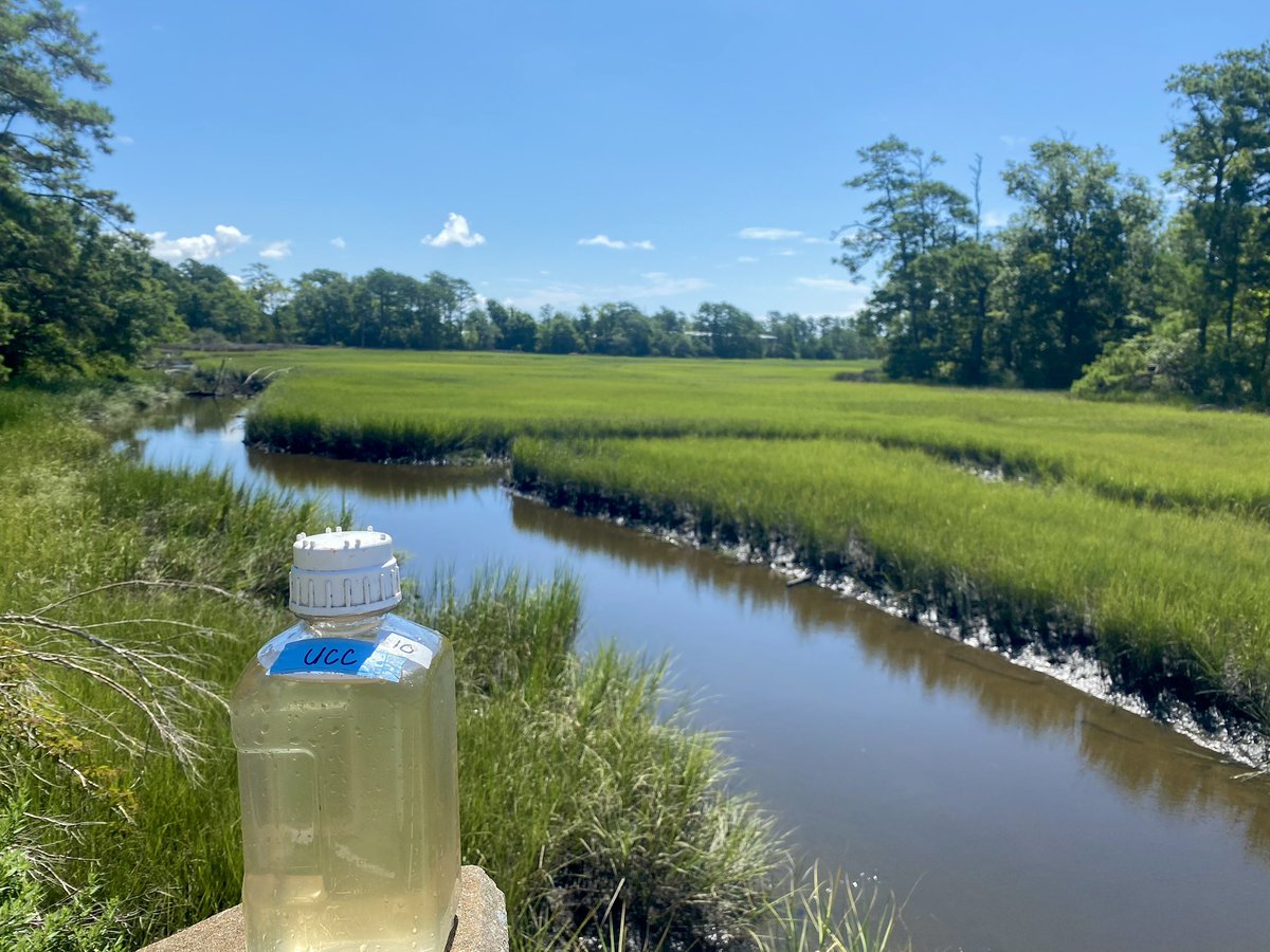 Chelsea_B_UNC's tweet photo. After a weekend of heavy rain in #EasternNC, the skies opened up so we could get out and see how all that runoff affects the Newport River #watershed. 
Enjoy these headshots of my samples and the incredible spaces I’ve visited biweekly for the last year+. #PiehlerPosse https://t.co/lXlqPVhuPK