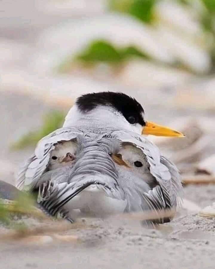 Something to make you smile 😊