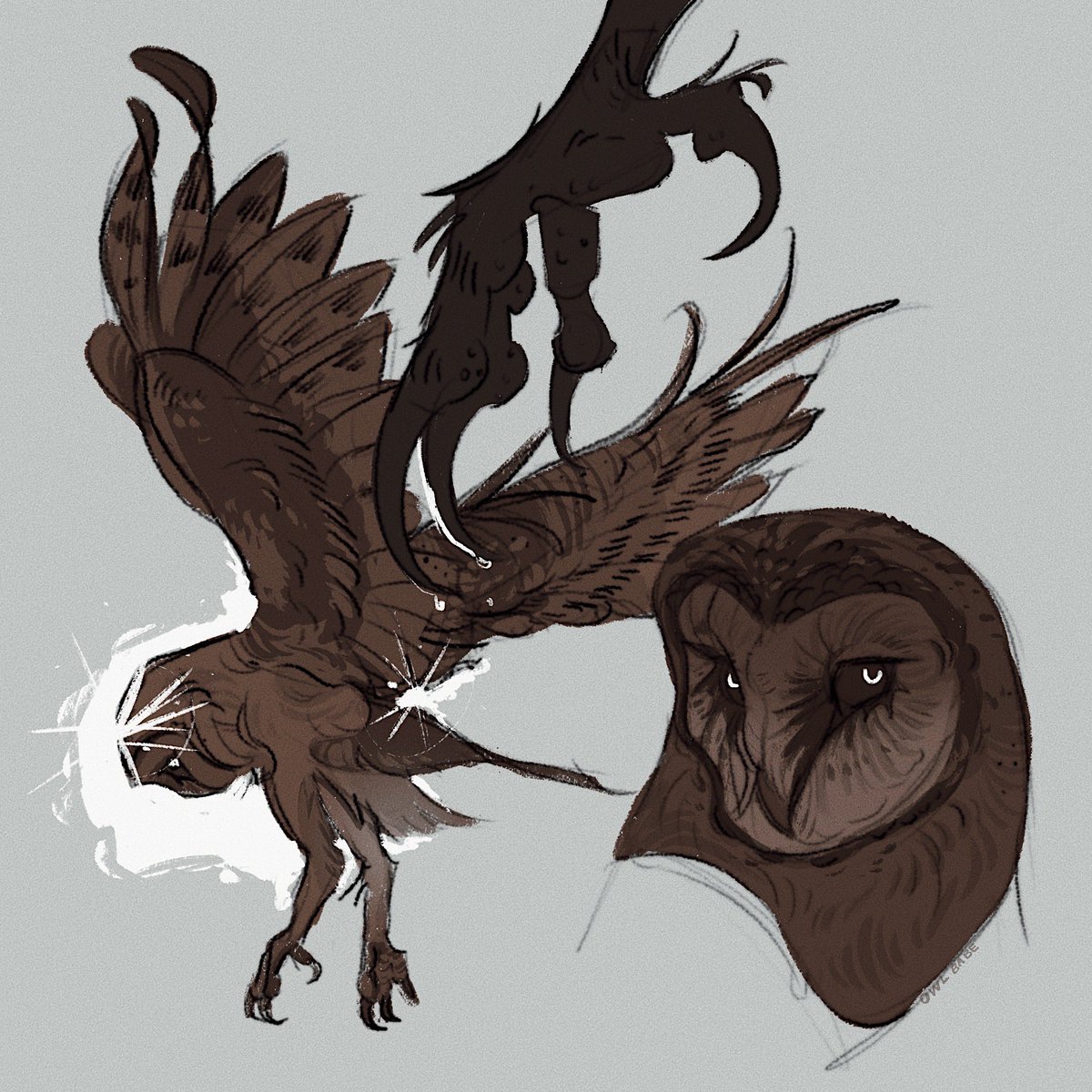 owlbabe (moved 🦋) tweet media