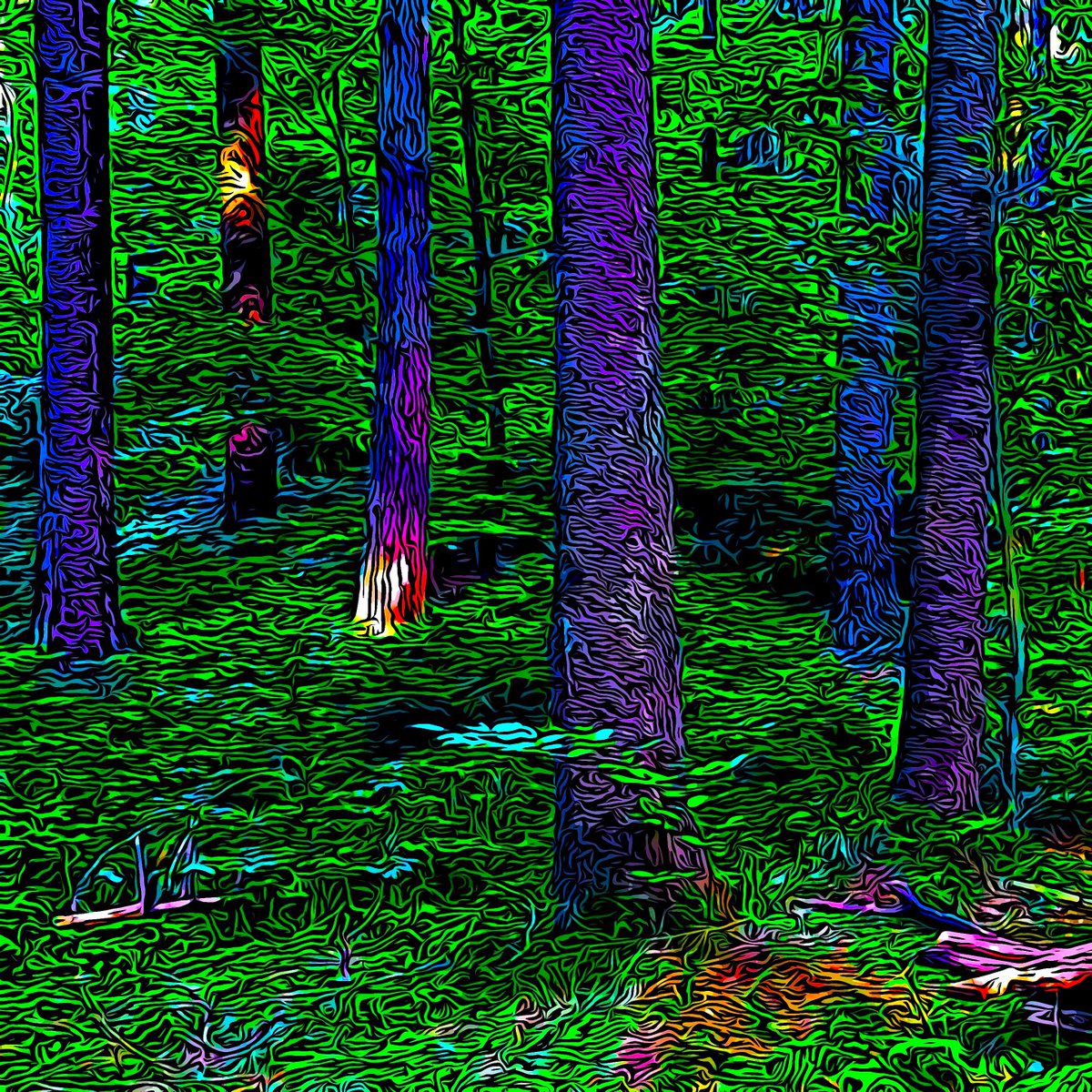 It's time for the next giveaway!
I give away the awesome #36 of the TreeIOTA Founding Edition.

--&gt; even easier this time
to do:
1. Follow our Twitter
2. Retweet and like this post

The winner will be chosen on July 15th

#NFT #IOTA #soonaverse #IOTACommunity #nature #trees