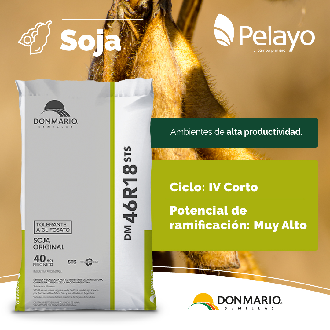 pelayoagronomia's tweet photo. 👉Accedé a la #Soja @DONMARIOoficial #DM46R18 🙌💪Tenemos el compromiso de llevar la mejor genética del mercado a cada una de las regiones y ambientes donde se pueda marcar una diferencia significativa en #Rendimiento y #Sanidad
👉#ElCampoPrimero https://t.co/WdDJihxnKi https://t.co/dvEND5mXb7