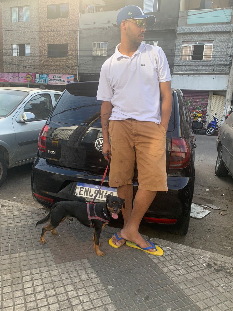 SilvaYur77's tweet photo. 🐶❤️ https://t.co/0YDWlzxEG2