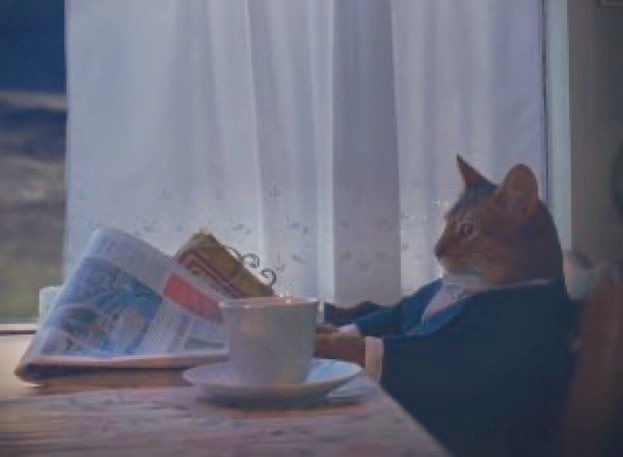 attacusat's tweet photo. This is Logical Cat.

Logical Cat reads the newsletter he subscribed to. https://t.co/wGivSg2Iu8