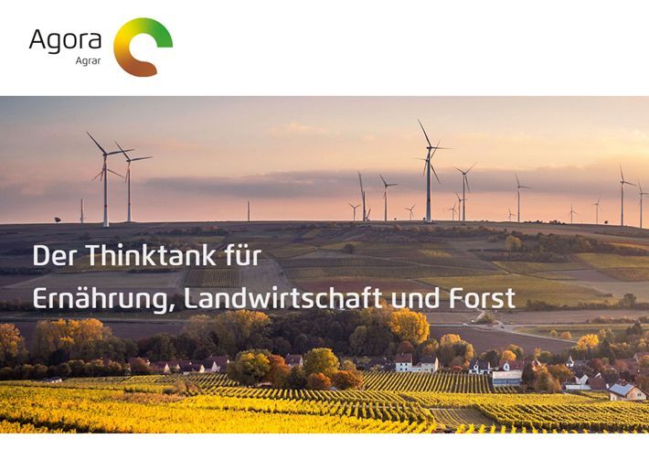 Stephanie Wunder tweet media