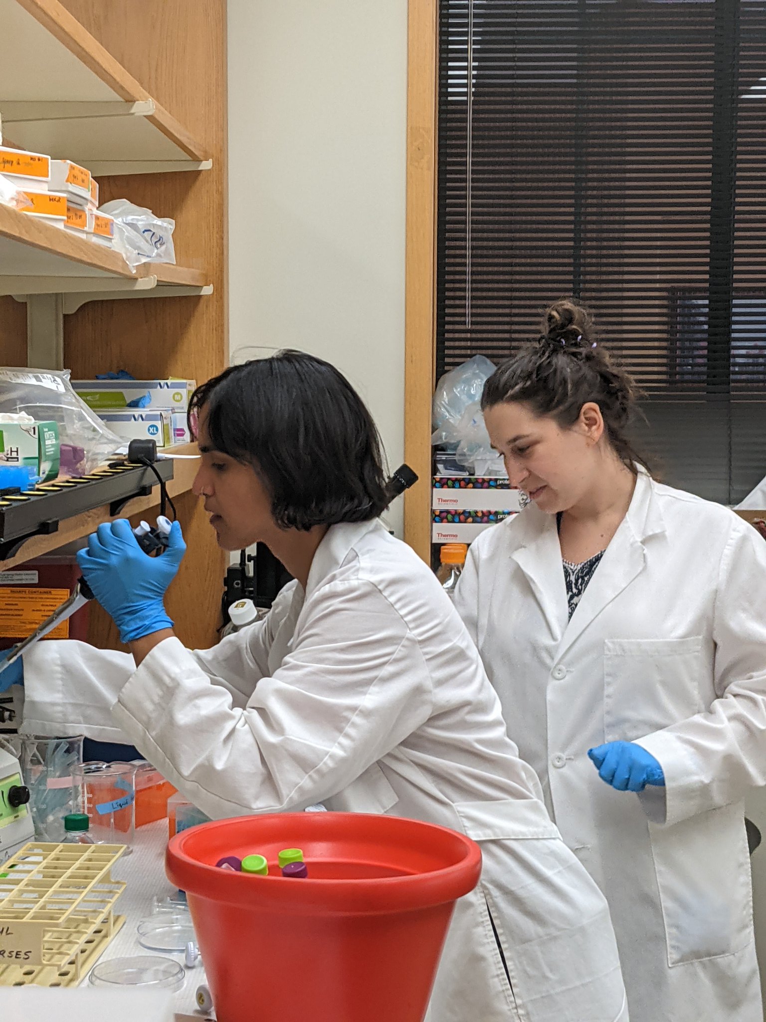 Schaefer Lab (lab_schaefer) / Twitter