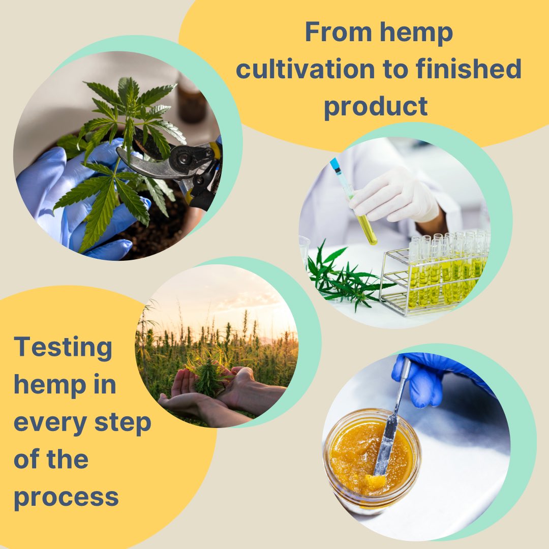 KAS_analytical's tweet photo. Our mission is to help others in the #hemp industry by doing what we love! From #testinghemp plant materials and finished products to offering #consultation services, we do it all. KAS offers top-notch testing services that you will find hard to resist. Give us a try today!
 #CBD https://t.co/ED6eMGC6p2