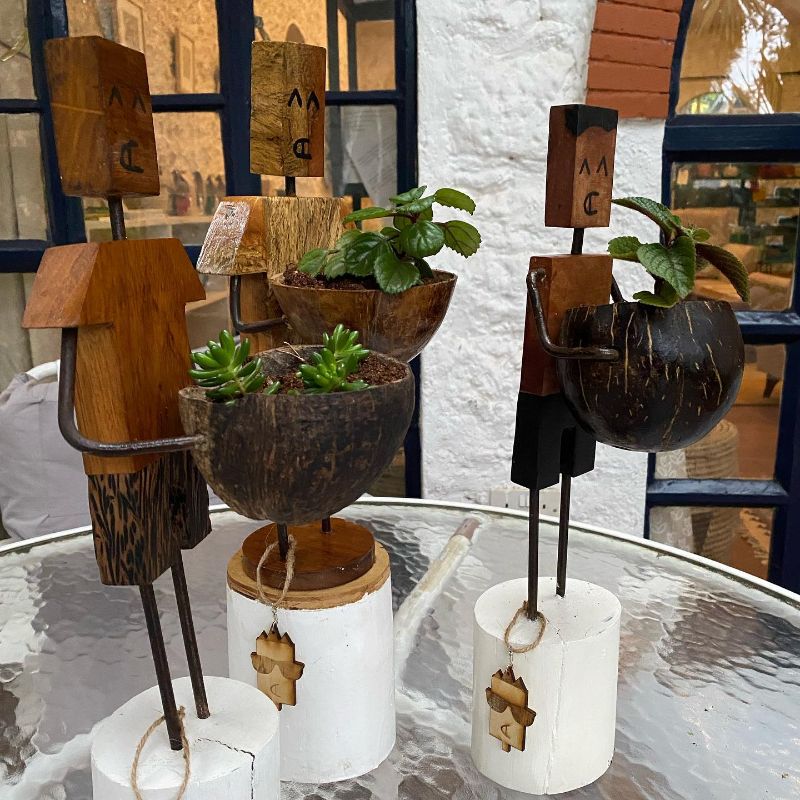 News from Acacia House! - mailchi.mp/2b8e00ed4a36/j…