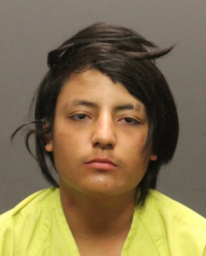 TPD_Robbery's tweet photo. @OperationsWest The suspects in this robbery investigation have been identified as Ezequiel Lucero (16) and Anthony Mullins (18). Both suspects have been located and arrested. Thank you to @OperationsWest and @OpsMidtown Community Response Team for assisting in locating these suspects. https://t.co/aS9stcWkP6