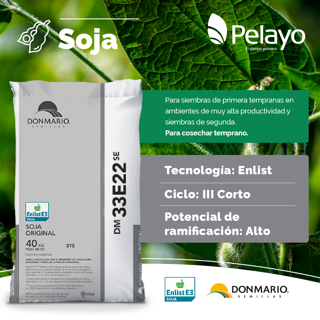 pelayoagronomia's tweet photo. Accedé a la #SojaEnlist @DONMARIOoficial   #DM33E22SE con tratamiento #QMAX 🙌

☑ Para siembras de primera tempranas en ambientes de muy alta productividad y siembras de segunda ☑ Para cosechar temprano. 

#ExperienciaDMEnlist #ElCampoPrimero 👆🟢 https://t.co/WdDJihfMlI https://t.co/POHOBQ4lRQ