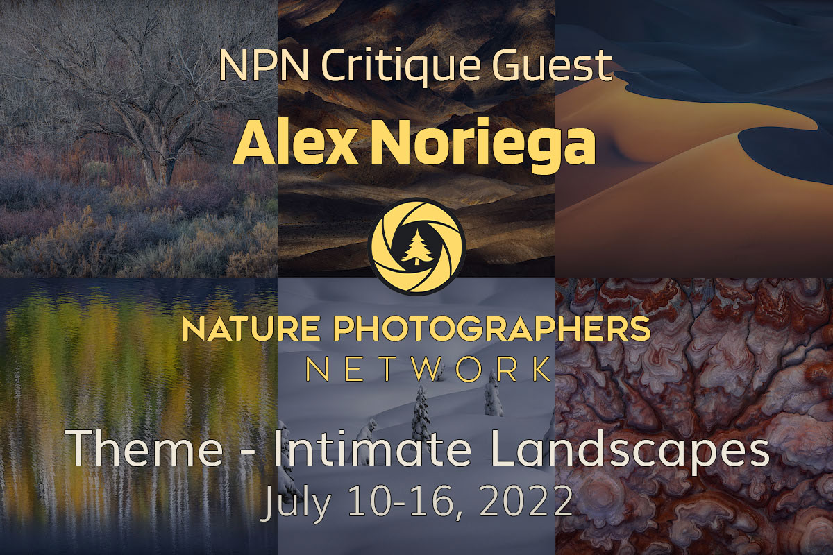 Alex Noriega is providing critiques for NPN members for the next two weeks.   If you would like your images critiqued, please consider joining NPN.  You can use my special code ALFREDO10 to save 10% on your first year of membership.

naturephotographers.network/?ref=alfredomo…