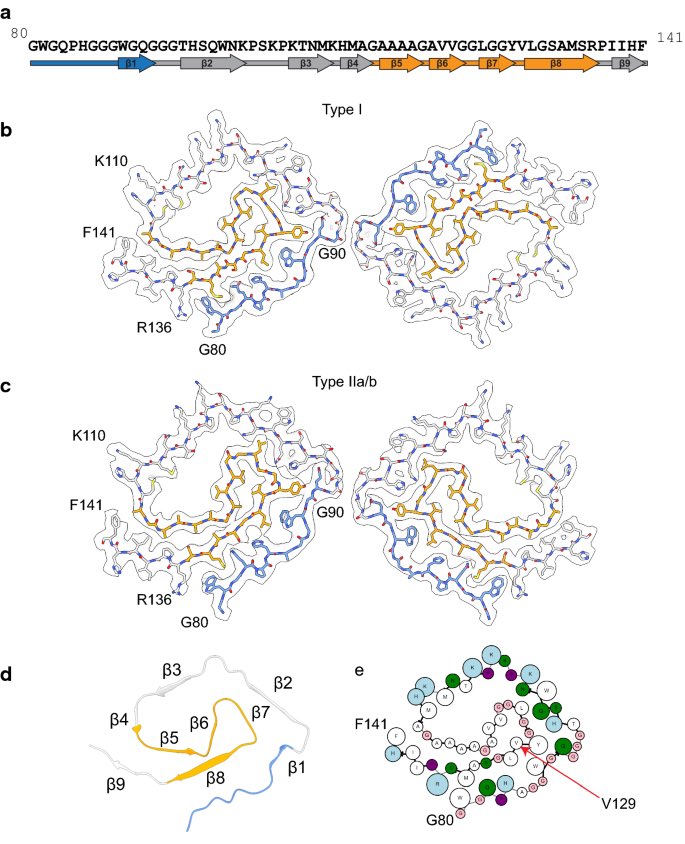 MhoqReja's tweet photo. Excited to share this work. We determined cryo-EM structure of prion protein fibrils from human brain extracts (GSS diseases). https://t.co/9yV9osY7rO
#cryoEM #purdue #jianglab @LifeAtPurdue https://t.co/KwZeVWjYlw