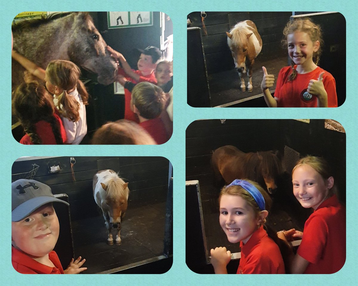 AbbeyPrim's tweet photo. Life was made for adventures with friends @showcaves #TeamYr4 #smiles #Article15 #Article2 #Article31 https://t.co/28FxsxyeyP