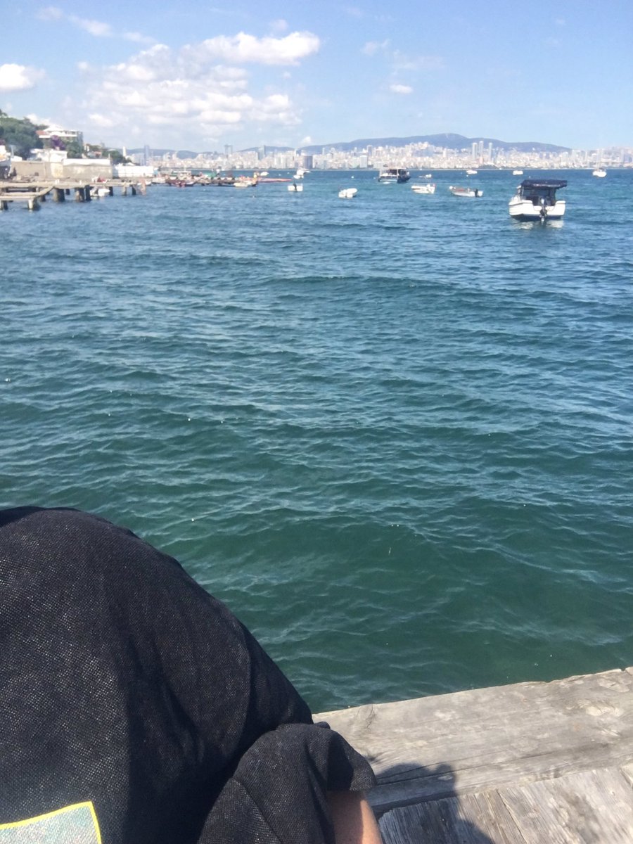 Büyükada Nakibey plajının misafirleri için düzenlediği iskeleye servis motorlarının anonsları saatte 5 kez bangır bangır, müzik zaten hunharca, bütün komşuları bezdirdi bakınız bu şiddettir bu milyorlarca dalırlık evinin iskelesinde huzuruna sokulmuş kazıktır, işletmenize zokiim