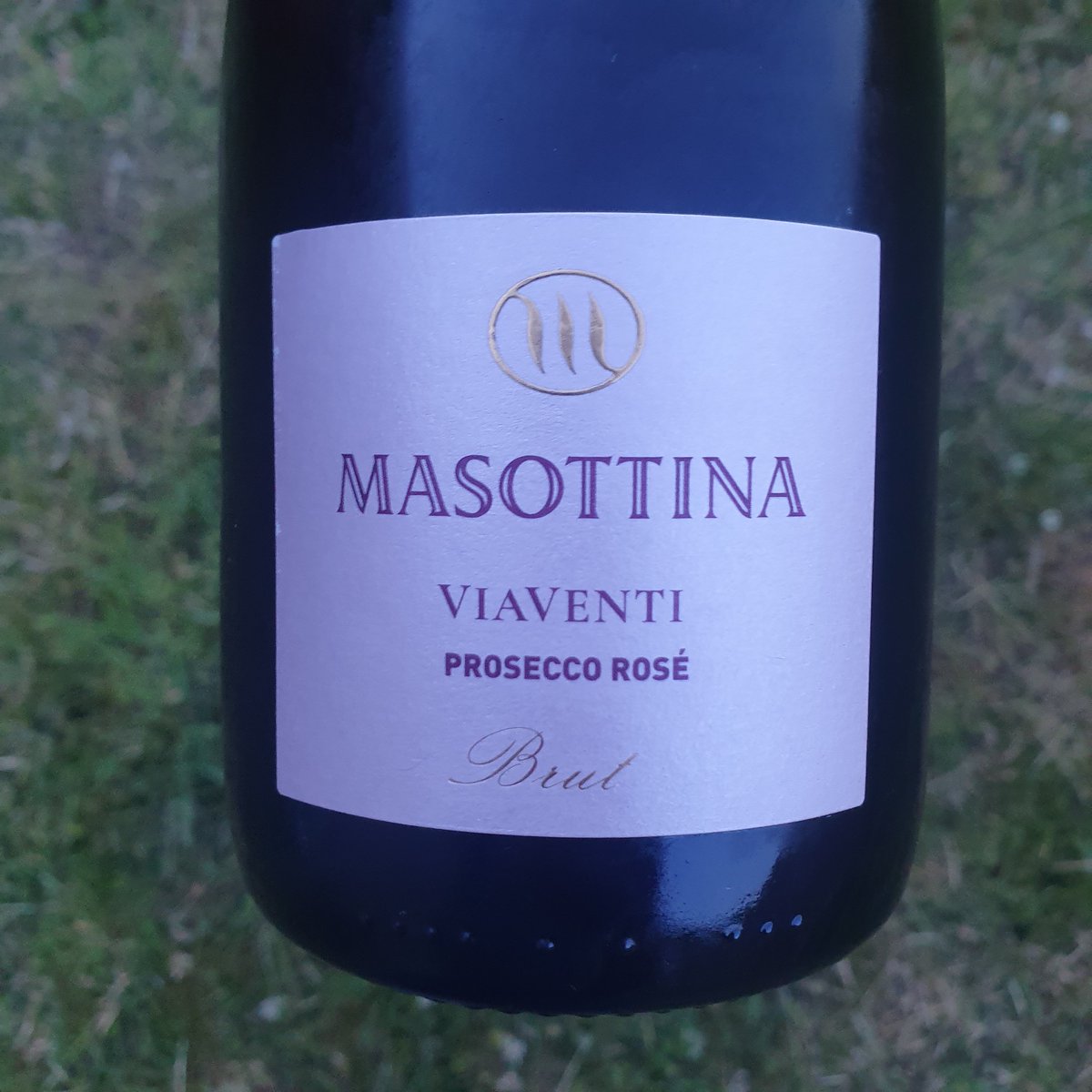 TheWineTipster's tweet photo. @wineandwords @LizGabayMW @dnkrbywine try my choice last night from the excellent @masottina_wines with their Prosecco DOC Millesimato Rose 2021 Brut. Available from @BancroftWines. #ProseccoDOCRose #ProseccoDOC https://t.co/45JXHoRfHy