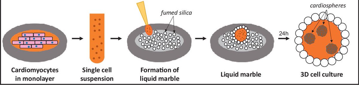 MWNautilus's tweet photo. #3D #CellCulture: #LiquidMarble technology (#LM) to create cost-effective 3D #cardiospheres as a platform for in vitro #drug/#toxicity testing & #disease modelling:
https://t.co/uoIYjJZIcR
#DIYbio #biohacking #lab #instruments #iPSCs #heart #medicine #StemCells https://t.co/86o1qpoWZq