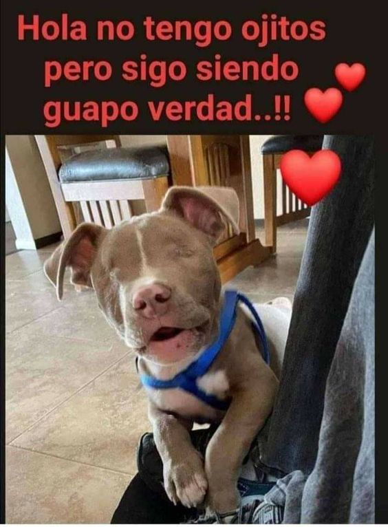 MartaZubero's tweet photo. https://t.co/CgXIupnXPz