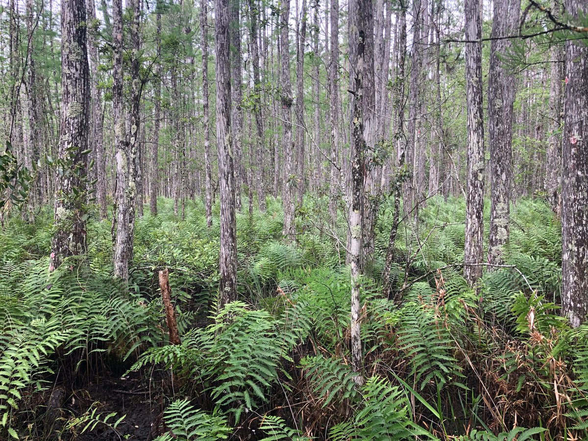 GreenSource EP, Inc. tweet media