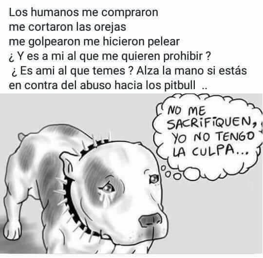MartaZubero's tweet photo. MULTAS Y CÁRCEL PARA LOS MALTRATADORES DE ANIMALES. https://t.co/48lb0pzro5
