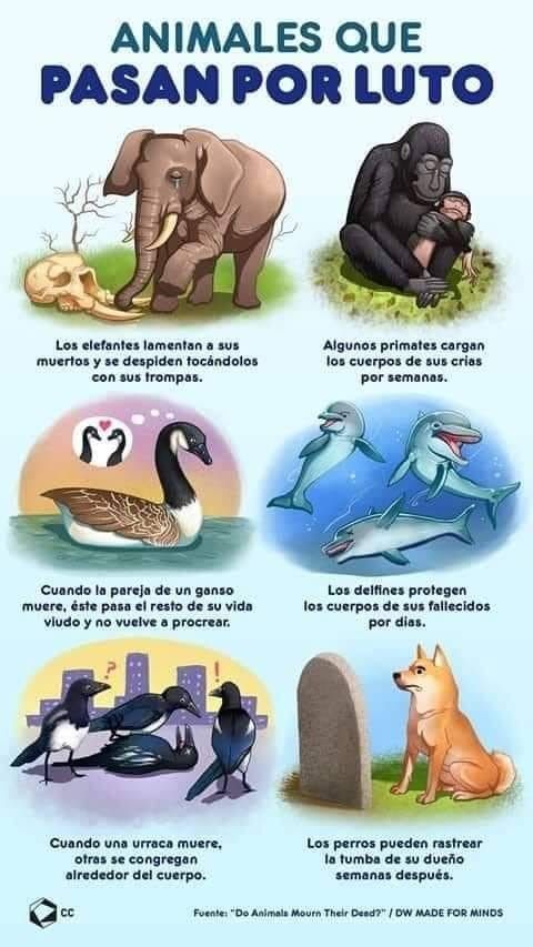 MartaZubero's tweet photo. https://t.co/YBapiFsLhZ