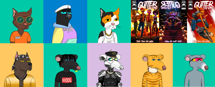 LimpNoodles tweet media