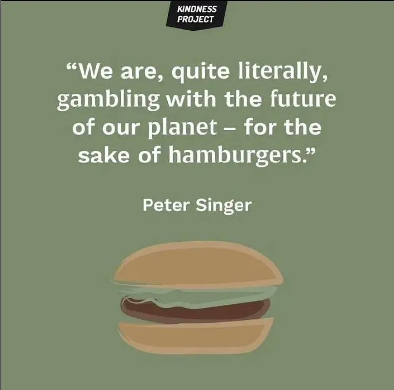 A just transition away from animal agriculture helps the planet, human and non-human animals alike. 🌱🍔🌍🐮 ⠀
⠀
Post by @kindnessprojorg
⠀
#PeterSinger