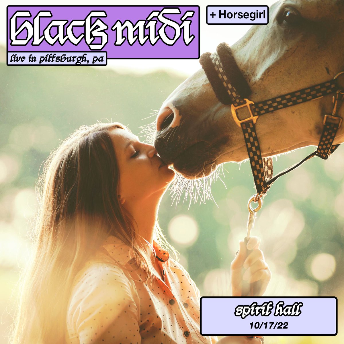 black midi tweet media