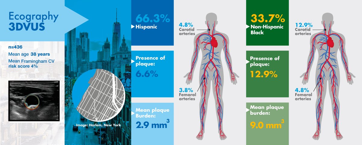 MountSinaiNYC's tweet photo. Young Black adults are twice as likely to have atherosclerosis as young Hispanic adults in an underserved community in Harlem, according to new results from the FAMILIA Project, a study led by Dr. Valentin Fuster. Read it at @JACCJournals: https://t.co/77ZF4wXtip
 
#CardioTwitter https://t.co/t5Rhr0BqGV