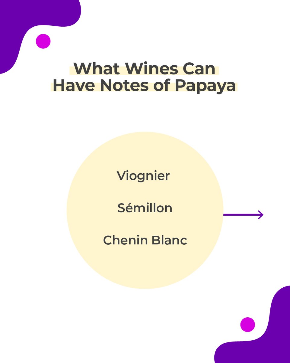 WineCollective's tweet photo. An intense, sweet fruity aroma in your glass alongside other tropical fruits. Swipe to learn all about #papaya aromas in wine!

#winetastingnote #tastingnotes #papaya #pawpaw #winefacts #stuffyoushouldknow #whitewine #tropicalaromas https://t.co/Lv0OvfftBb