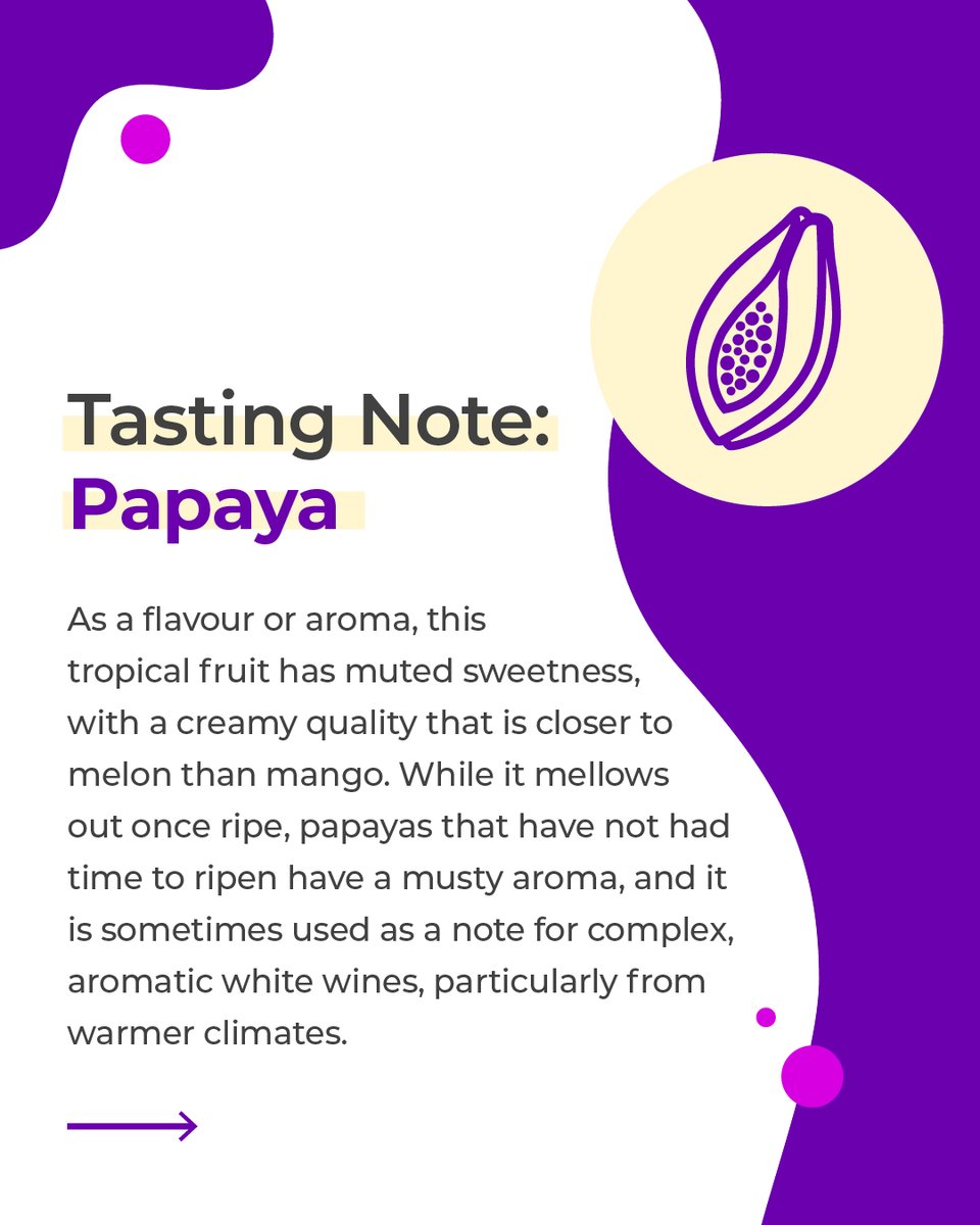 WineCollective's tweet photo. An intense, sweet fruity aroma in your glass alongside other tropical fruits. Swipe to learn all about #papaya aromas in wine!

#winetastingnote #tastingnotes #papaya #pawpaw #winefacts #stuffyoushouldknow #whitewine #tropicalaromas https://t.co/Lv0OvfftBb