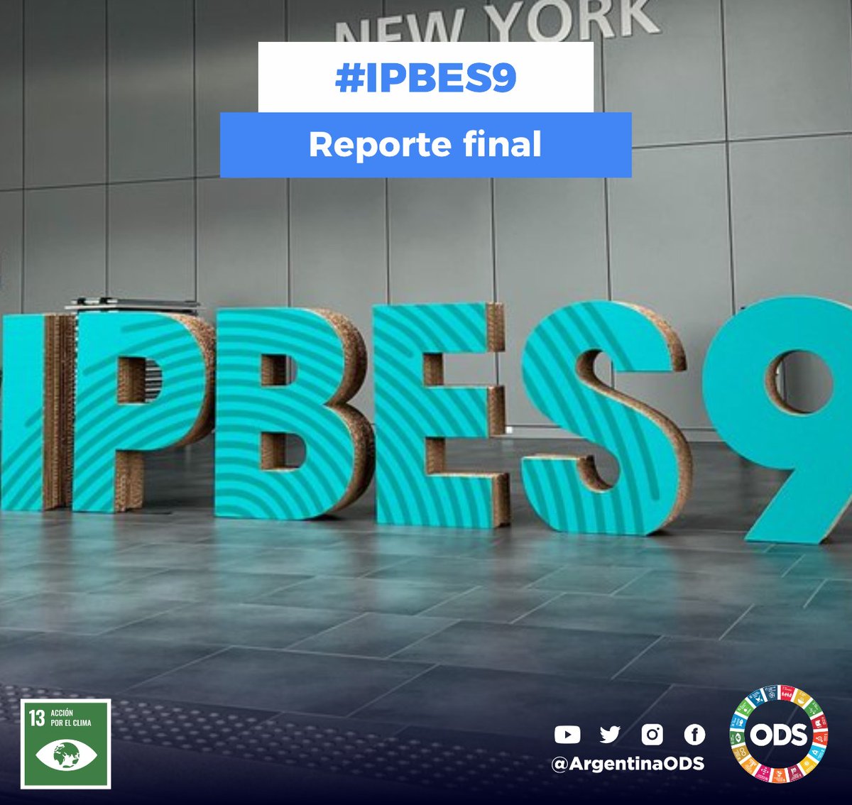OficinaOds's tweet photo. 🌍 El @IPBES tuvo la tarea de mostrarnos que mediante el debate y el consenso se puede arribar a las mejores soluciones para preservar la #Biodiversidad
ℹ️ En esta nota te contamos qué dice el #ReporteFinal del #IPBES9 ⬇️
https://t.co/e9EhkCpeHB
📢 #IPBES
🙌 #ODS https://t.co/NVTTngbe5i