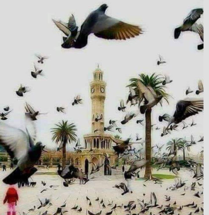 ѕнυנα υ∂ ∂ιη 🐦 tweet media