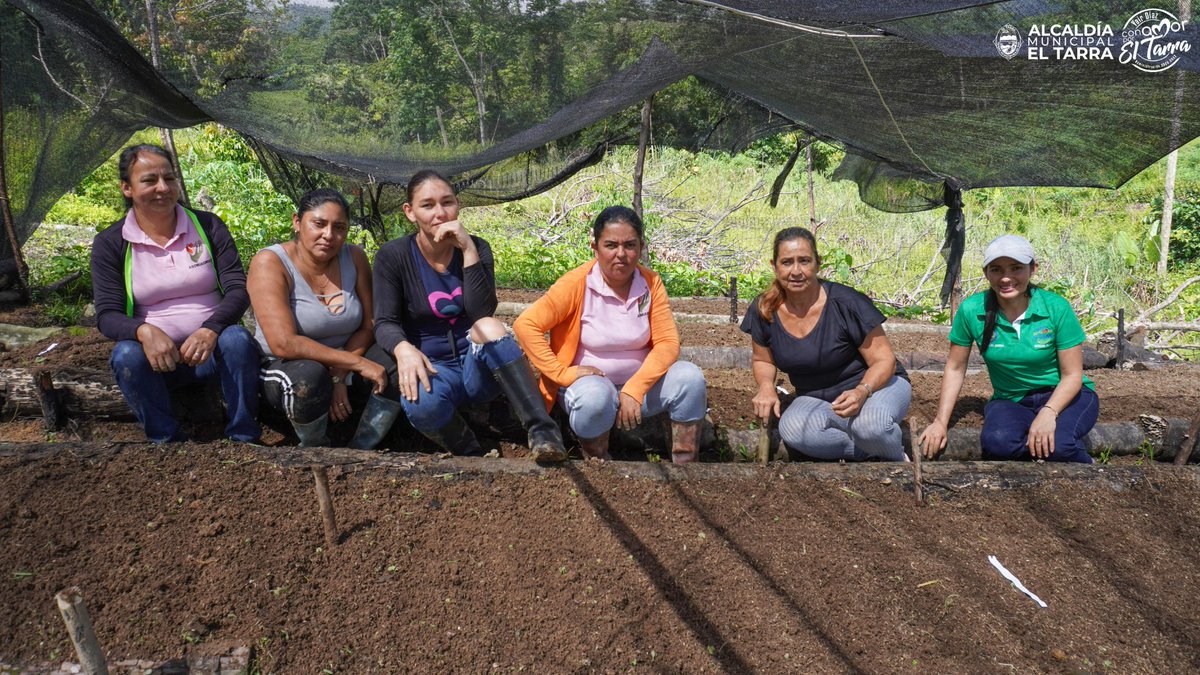 AlcaldiaElTarra's tweet photo. #ConAmorPorELTarra 👨🏻🌾👩🌾 | Fortalecimiento de #HuertasCaceras Asentamiento Humano de Comité de Mujeres del #20deMayo y los Comités de Mujeres #Km84, Comité de Mujeres #LosRobles, Asociación de #ASOMUAGROVIT.
#ConAmorPorLasComunidades #ConAmorPorElCampo https://t.co/JyytK1TELy