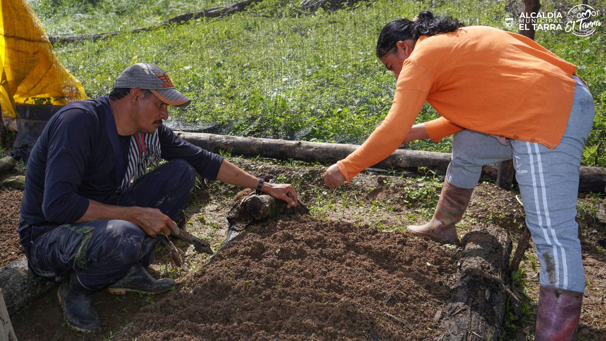 AlcaldiaElTarra's tweet photo. #ConAmorPorELTarra 👨🏻🌾👩🌾 | Fortalecimiento de #HuertasCaceras Asentamiento Humano de Comité de Mujeres del #20deMayo y los Comités de Mujeres #Km84, Comité de Mujeres #LosRobles, Asociación de #ASOMUAGROVIT.
#ConAmorPorLasComunidades #ConAmorPorElCampo https://t.co/JyytK1TELy