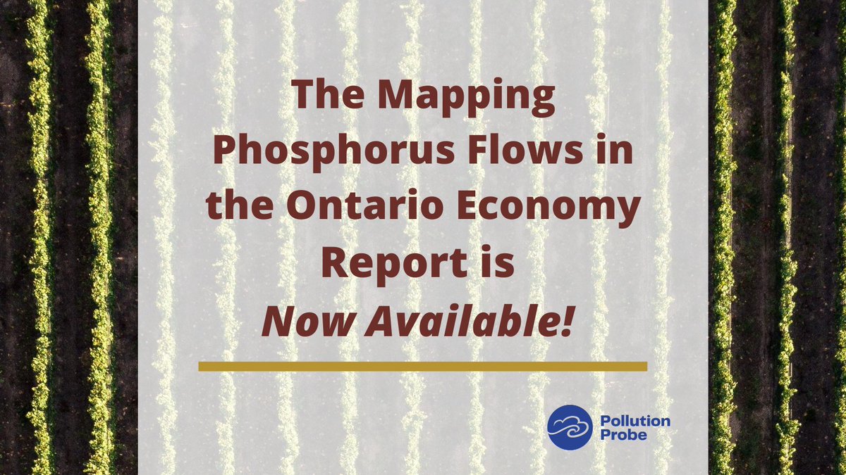 With support from <a href="/environmentca/">Environment Canada</a> @GreatLakes_GC + partnering with experts on #Phosphorus (P) and nutrient recovery &amp; reuse from BioEngine, <a href="/mcgillu/">McGill University</a>, <a href="/universitelaval/">Université Laval</a>, <a href="/water_institute/">the Water Institute</a>, Pollution Probe leads the 1st study of P flows in #Ontario's economy.
👉🏼pollutionprobe.org/mapping-phosph…