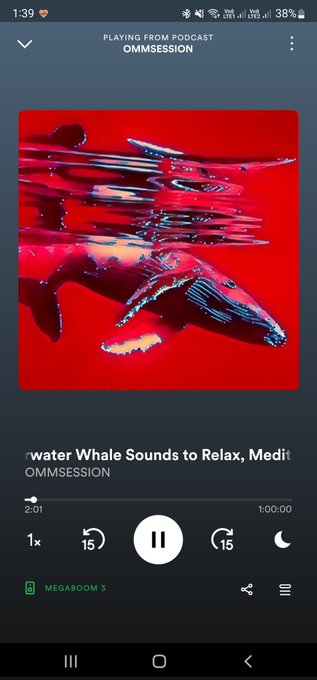 I had my pizza, I have my blanket, I have cat. Now time for whales https://t.co/cj5caPUNn2