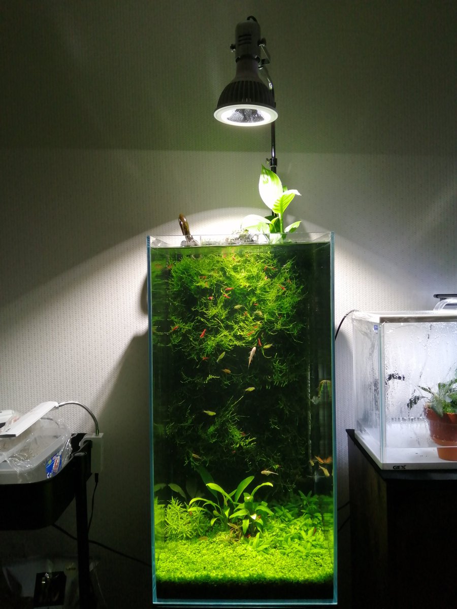 AQUASYSTEM Crysty3060 (安心安全な,たのメル便で送ります) AQUASYSTEM Crysty3060 (安心安全な,たのメル便で送ります