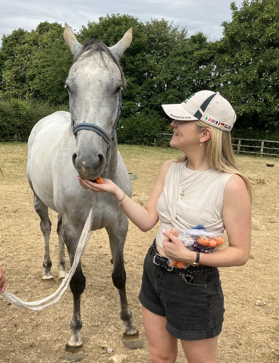 jess_stafford_'s tweet photo. No day better spent than with Buzz, who is enjoying life out in his paddock with his big pal Dusart.
Buzz super vet Dave Matheson scanned him 2 weeks ago at the 6 month stage ~ his bone is healed & he should be ok to be ridden at the end of August 🥲🐝 #howsbuzz @HillwoodStud https://t.co/uUVzLJ6NL3