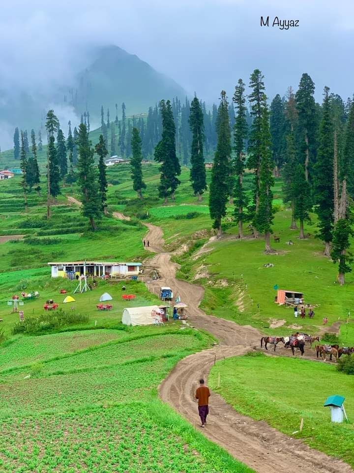 Gwadar_Pro's tweet photo. Beautiful lalazar kaghan valley. 🇵🇰 

📷M Ayyaz https://t.co/UweVzGyTvh