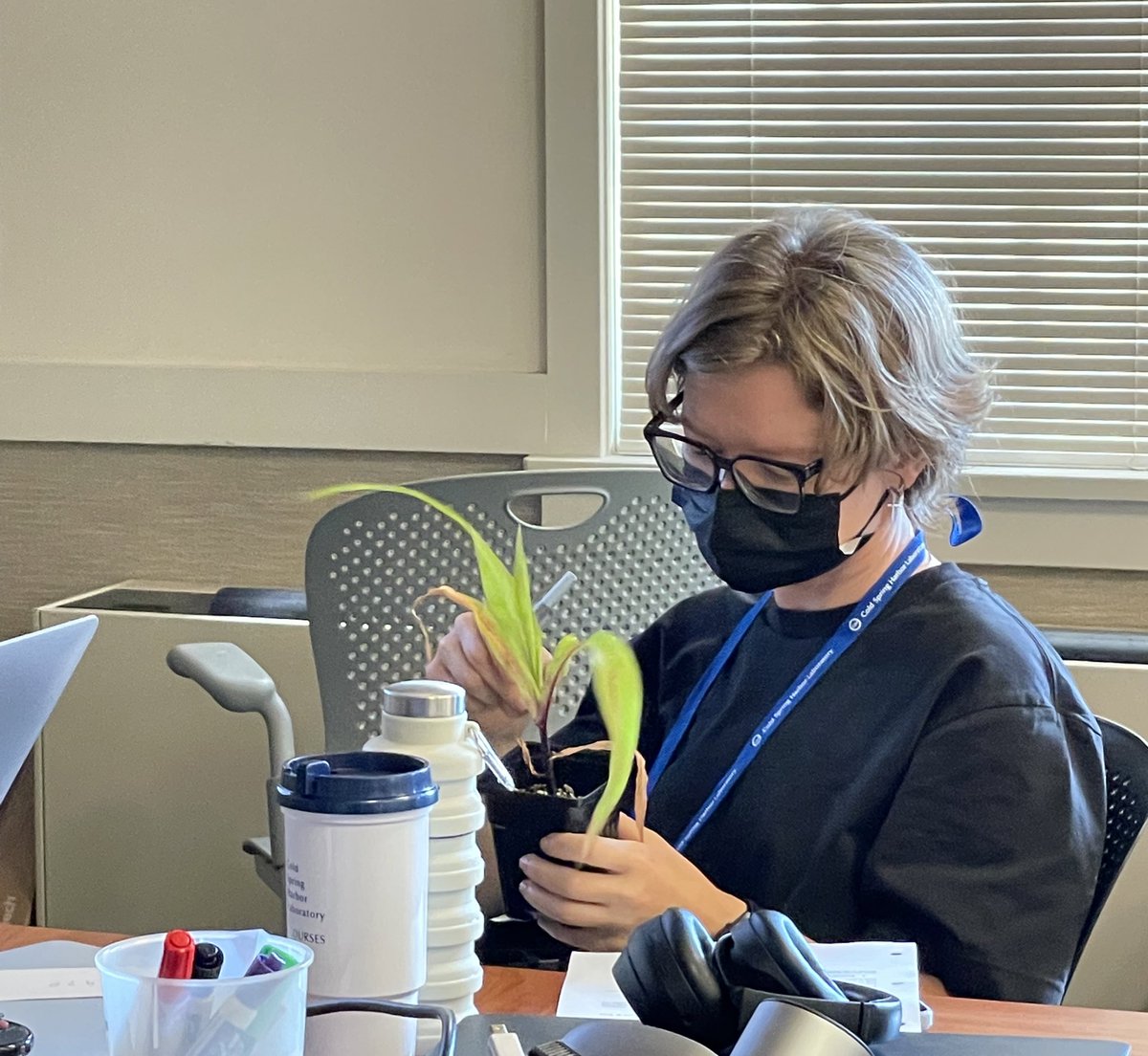 CSHL Plant Course tweet media