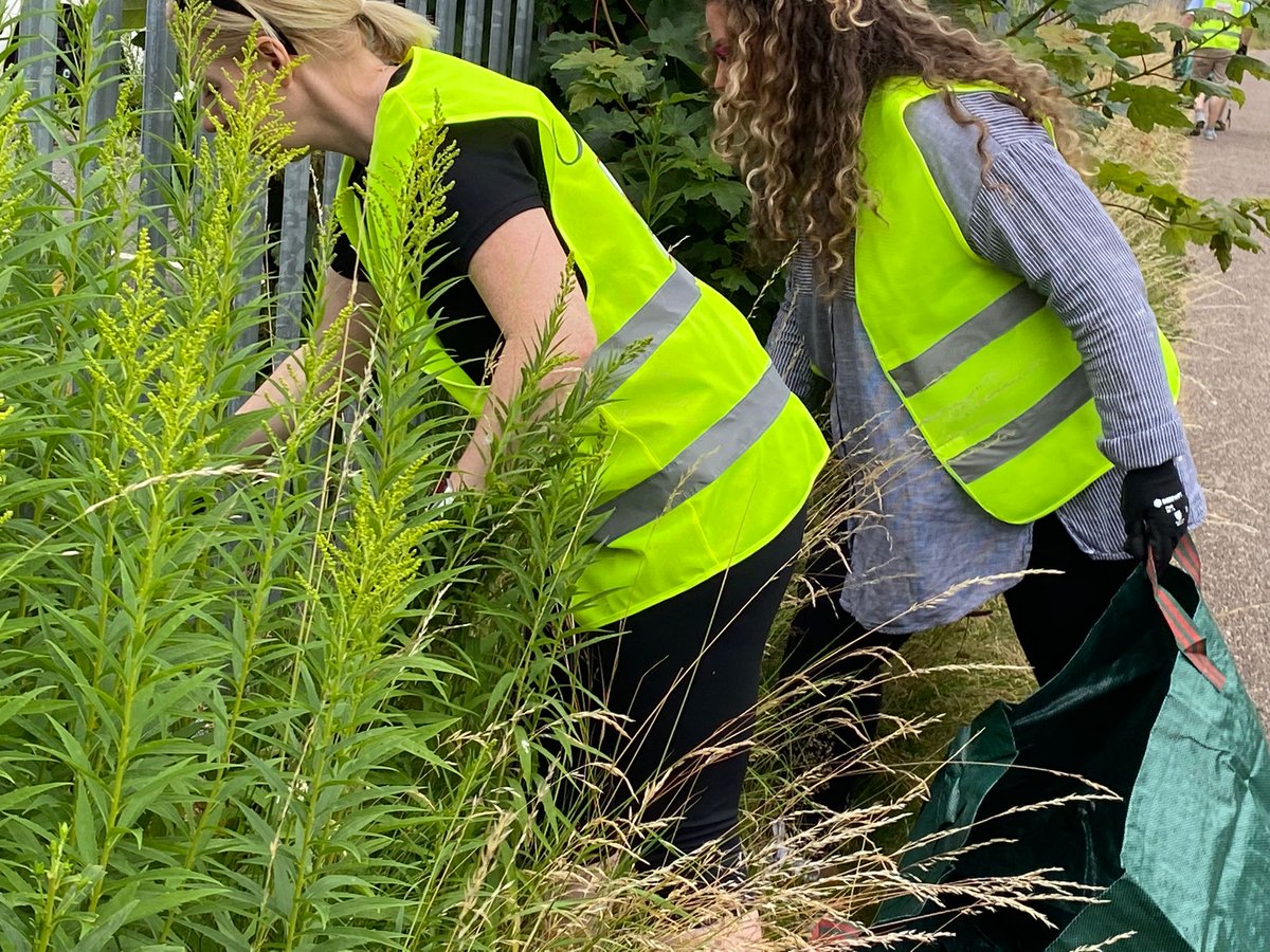 Finesse Windows tweet media