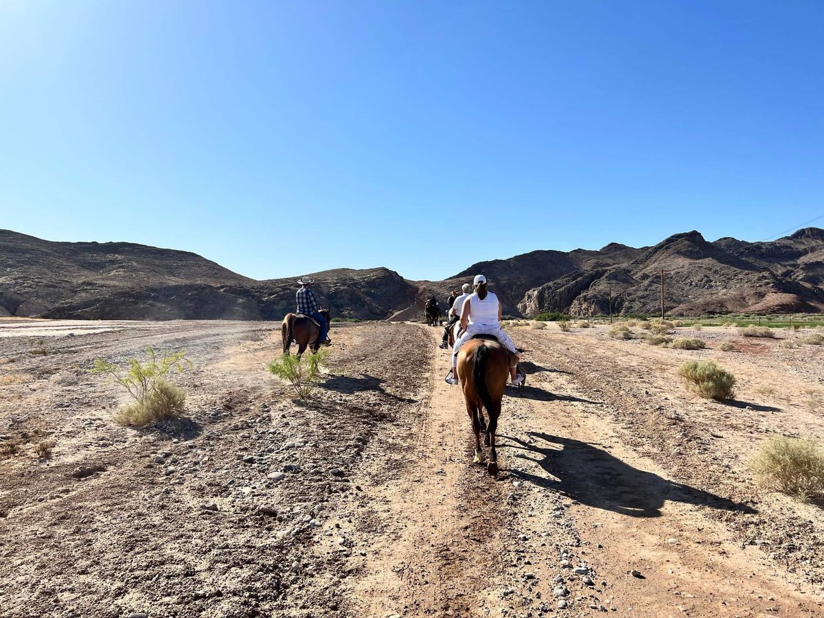 Wildwildwest1's tweet photo. “We had an absolute blast. Everyone was so helpful and kind! Our experience was unmatched!” ~Kylie Bean 
https://t.co/ylbpNh7Q8O

#lasvegas #horsebackriding #adventure https://t.co/eNI49nSjK7
